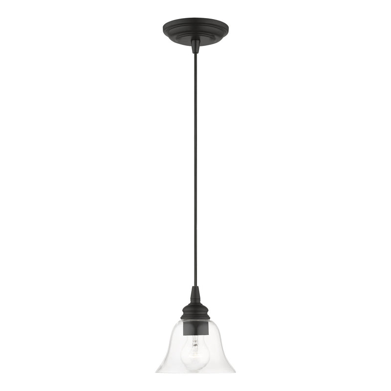 Livex Lighting 46480-04 One Light Pendant, Black
