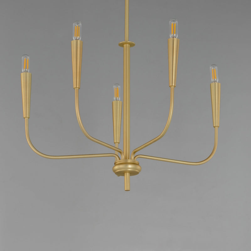 Maxim 24815SBR Five Light Chandelier, Satin Brass