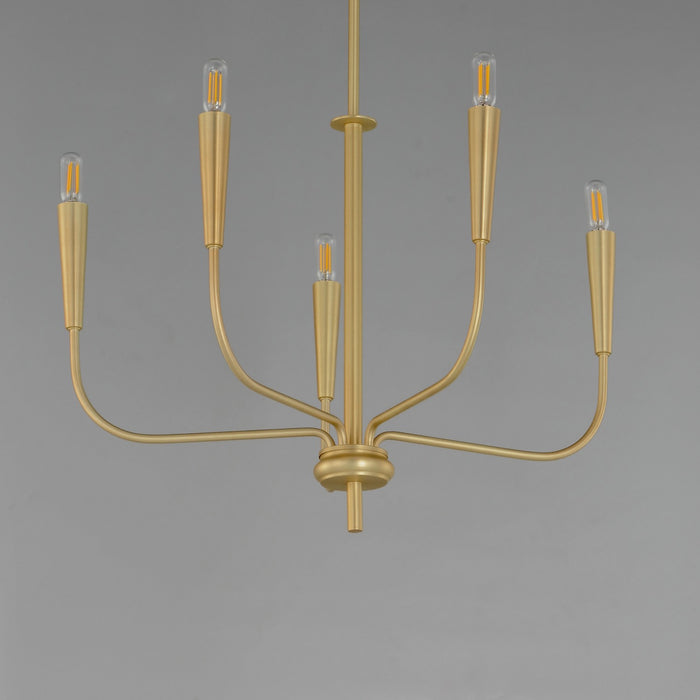Maxim 24815SBR Five Light Chandelier, Satin Brass