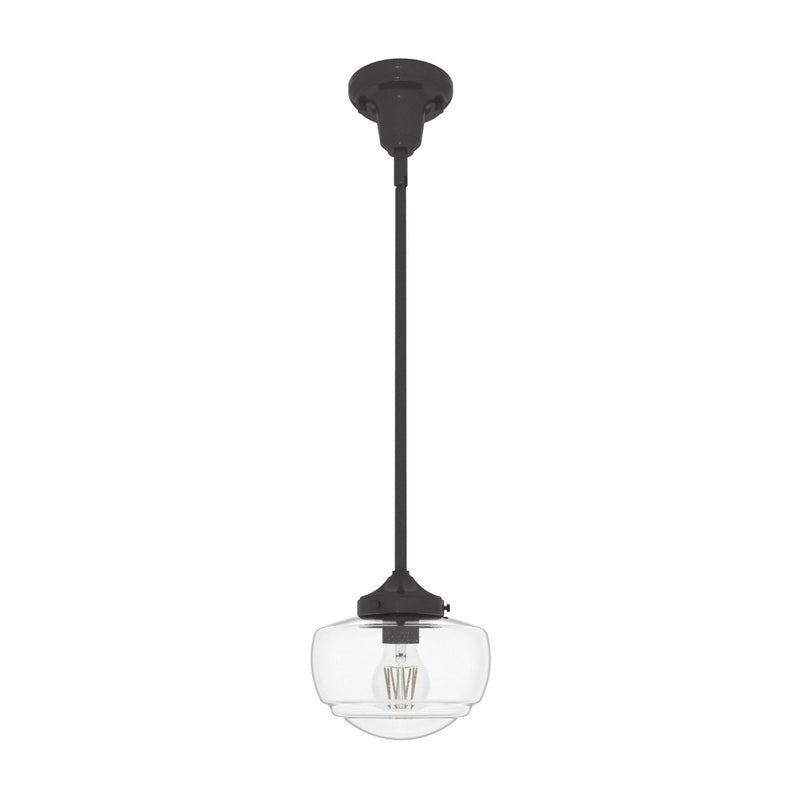 Hunter 19046 One Light Pendant, Noble Bronze