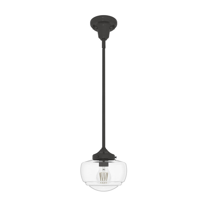 Hunter 19046 One Light Pendant, Noble Bronze