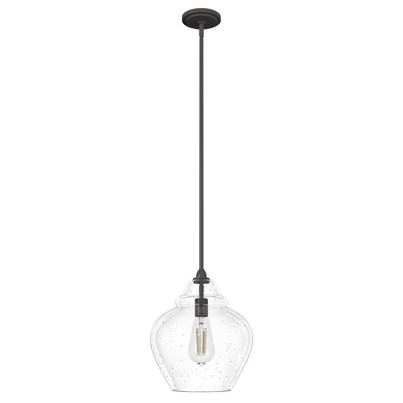 Hunter 19647 One Light Pendant, Noble Bronze