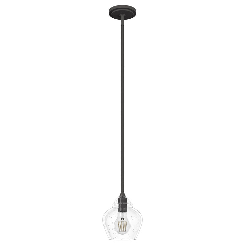 Hunter 19649 One Light Pendant, Noble Bronze