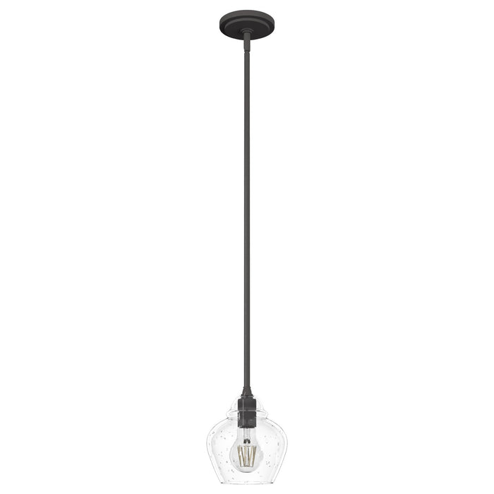 Hunter 19649 One Light Pendant, Noble Bronze