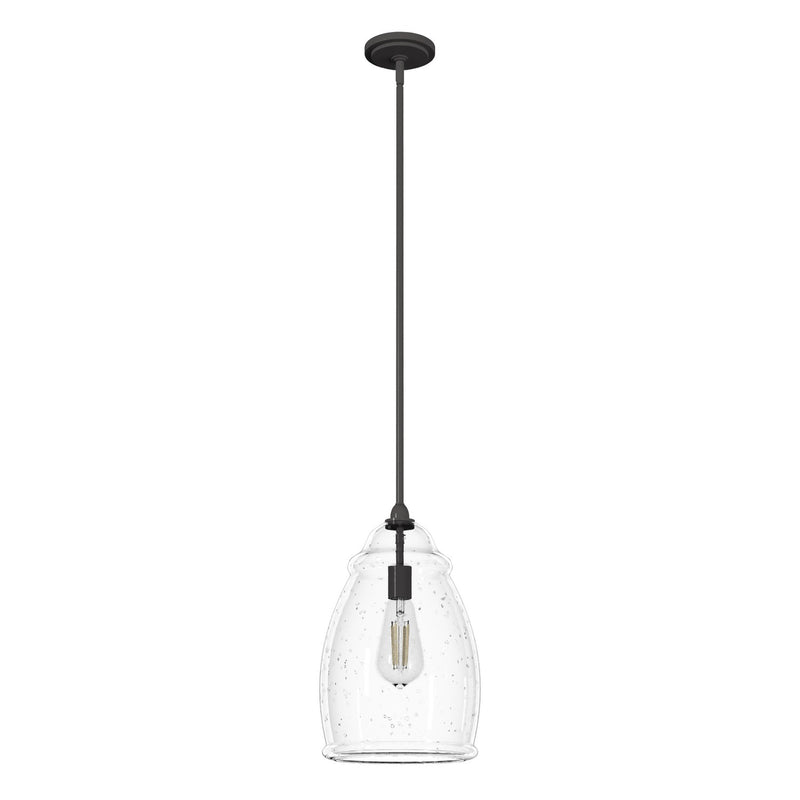 Hunter 19651 One Light Pendant, Noble Bronze