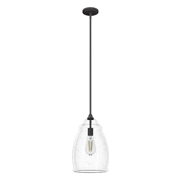 Hunter 19651 One Light Pendant, Noble Bronze