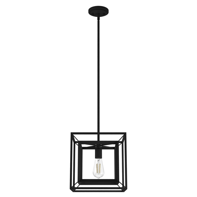 Hunter 19406 One Light Pendant, Natural Black Iron