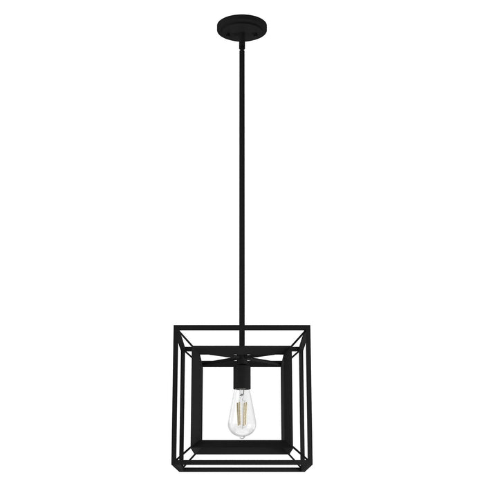 Hunter 19406 One Light Pendant, Natural Black Iron