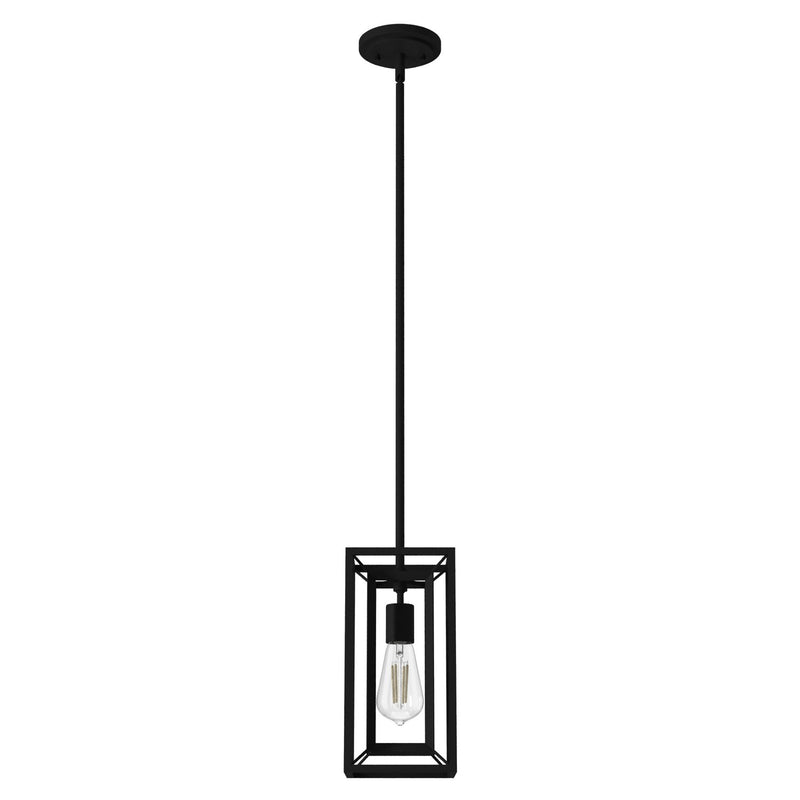 Hunter 19755 One Light Pendant, Natural Black Iron