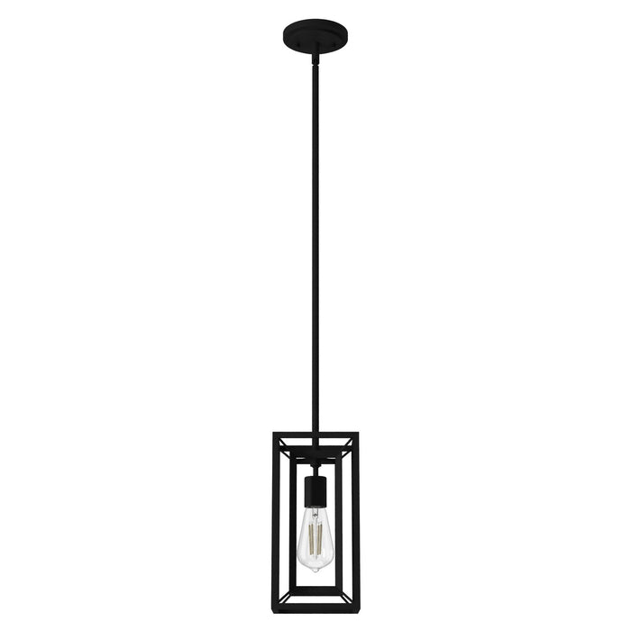 Hunter 19755 One Light Pendant, Natural Black Iron