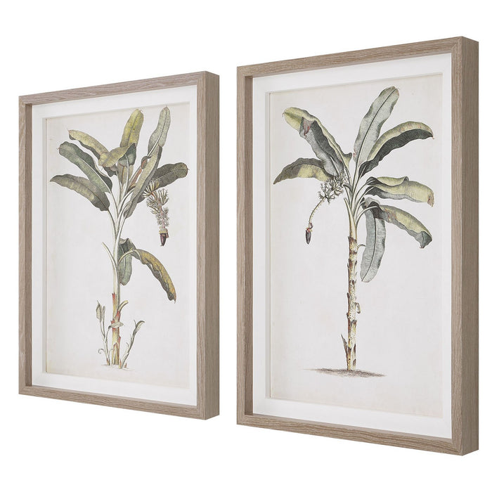 Uttermost 41446 Framed Prints, Set/2, Light Wood