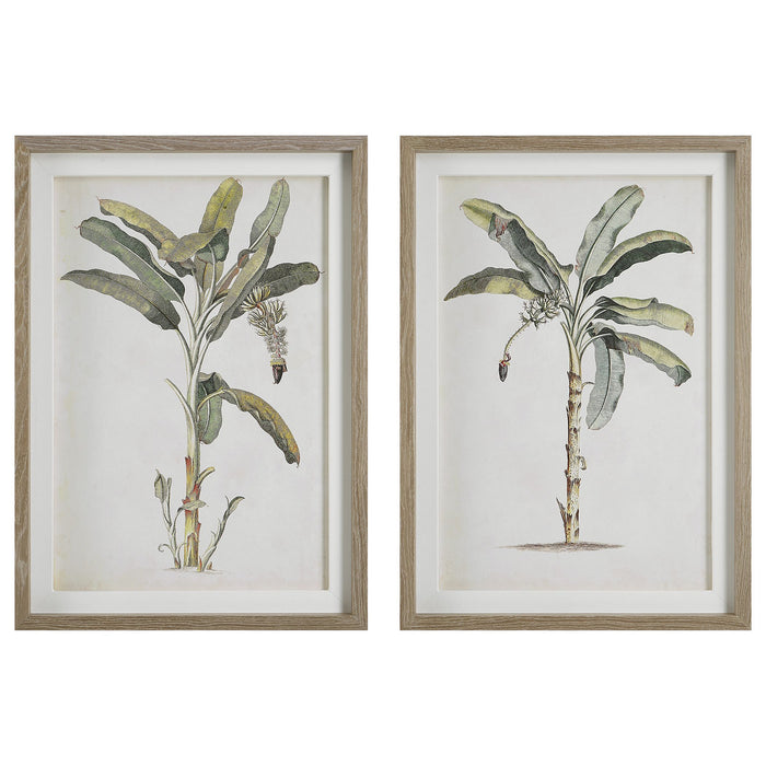 Uttermost 41446 Framed Prints, Set/2, Light Wood