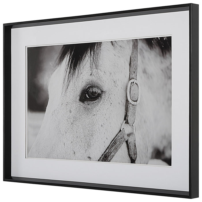 Uttermost 41463 Framed Print, Satin Black Chamfered Edge
