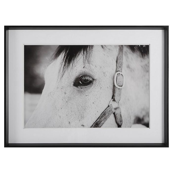 Uttermost 41463 Framed Print, Satin Black Chamfered Edge