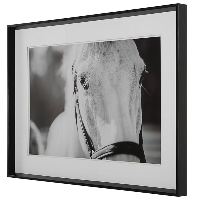 Uttermost 41464 Framed Print, Satin Black Chamfered Edge