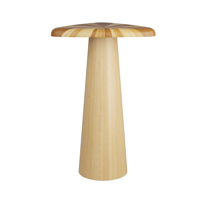 Arteriors 5785 Accent Table, Blonde Marquetry