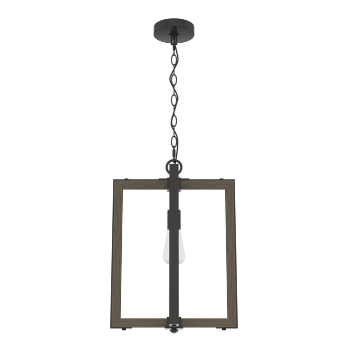 Hunter 19814 One Light Pendant, Noble Bronze