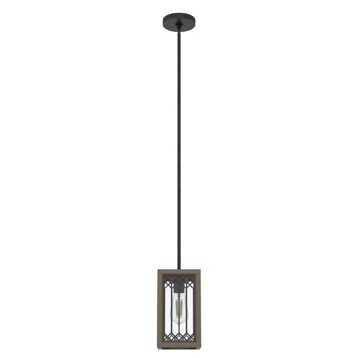 Hunter 19973 One Light Mini Pendant, Rustic Iron