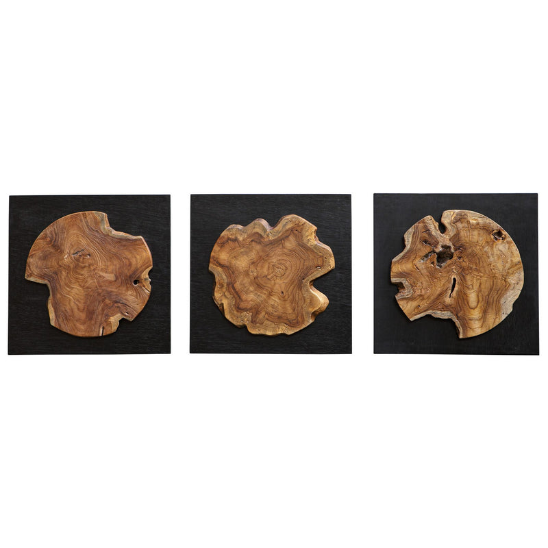 Uttermost 04336 Wall Decor, S/3, Satin Black