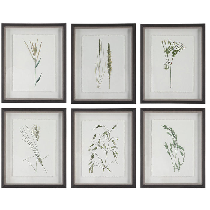 Uttermost 41459 Framed Prints, S/6, Dark Espresso