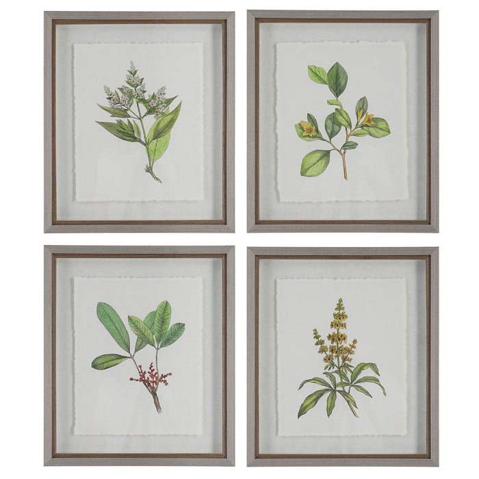 Uttermost 41461 Framed Prints, S/4, Light Gray