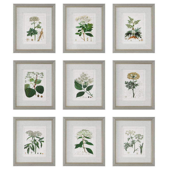 Uttermost 41466 Framed Prints, S/9, Light Gray