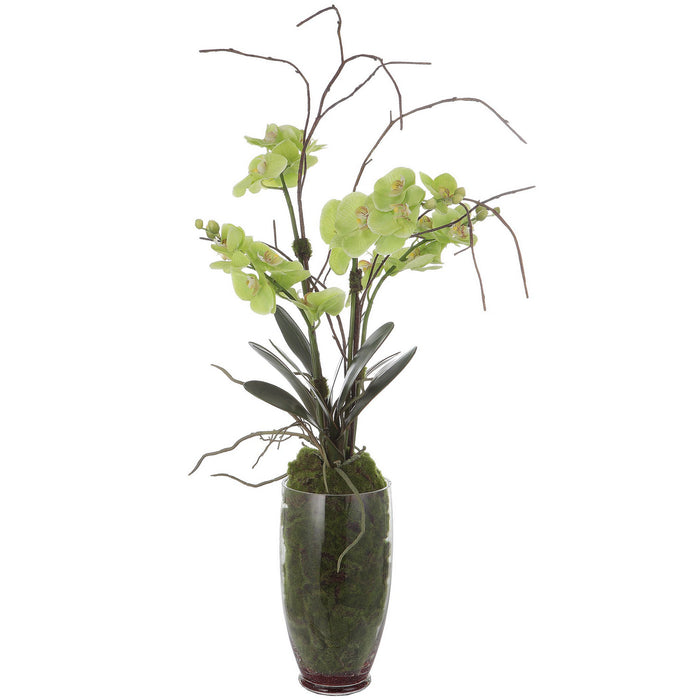 Uttermost 60199 Artificial Flower, Clear