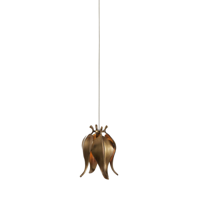 Currey and Company 9000-1019 One Light Pendant, Antique Brass
