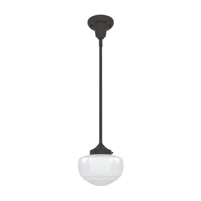 Hunter 19032 One Light Pendant, Noble Bronze