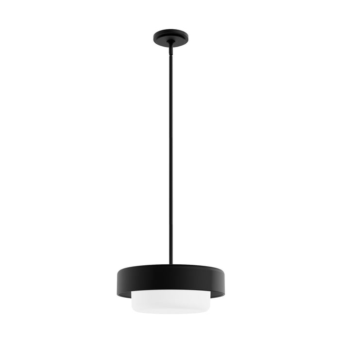 Hunter 19271 Two Light Pendant, Natural Black Iron
