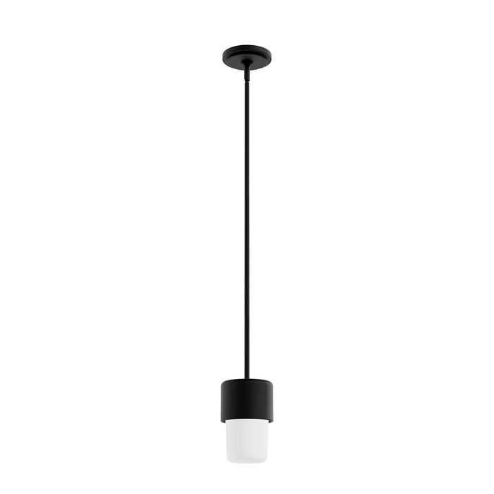 Hunter 19277 One Light Pendant, Natural Black Iron