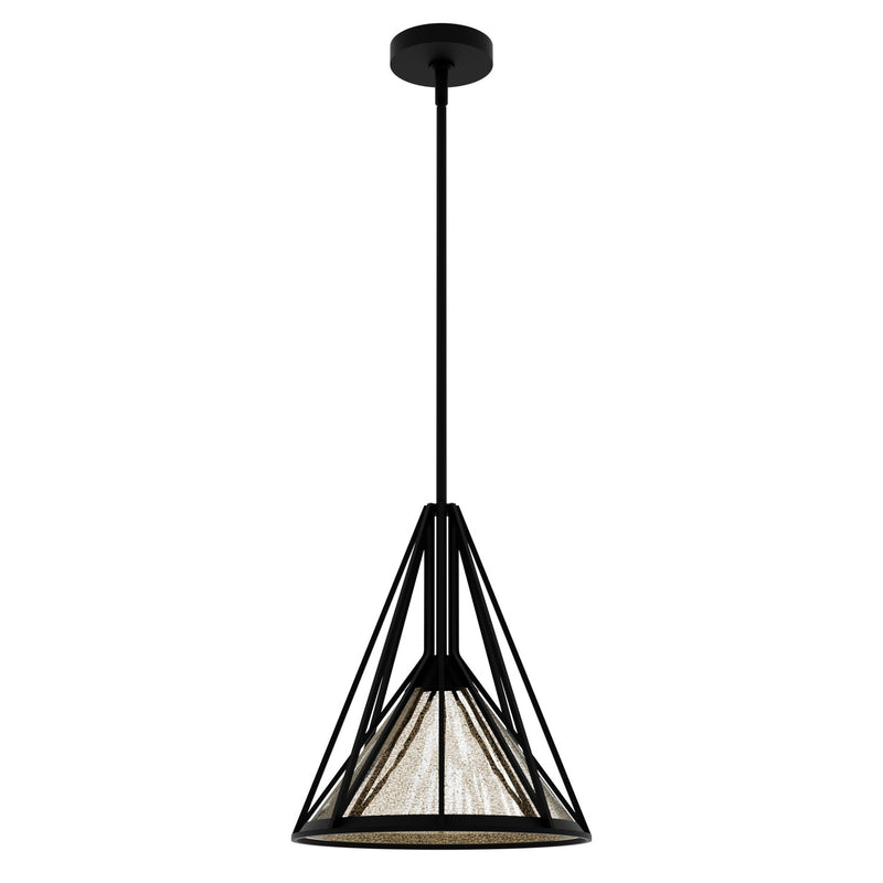 Hunter 19451 One Light Pendant, Natural Black Iron