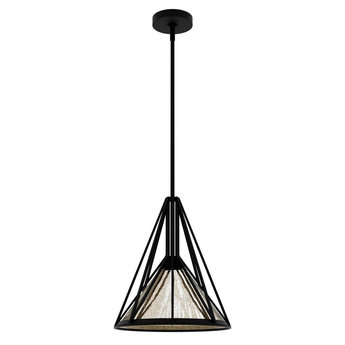Hunter 19451 One Light Pendant, Natural Black Iron