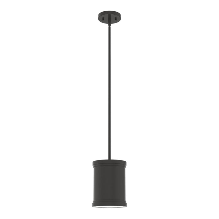 Hunter 19614 One Light Pendant, Noble Bronze