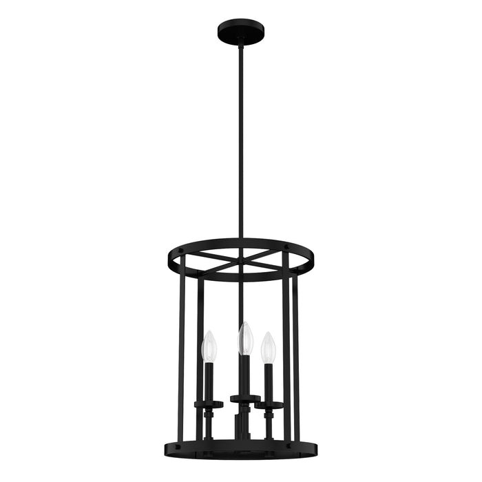 Hunter 19696 Three Light Foyer Pendant, Matte Black
