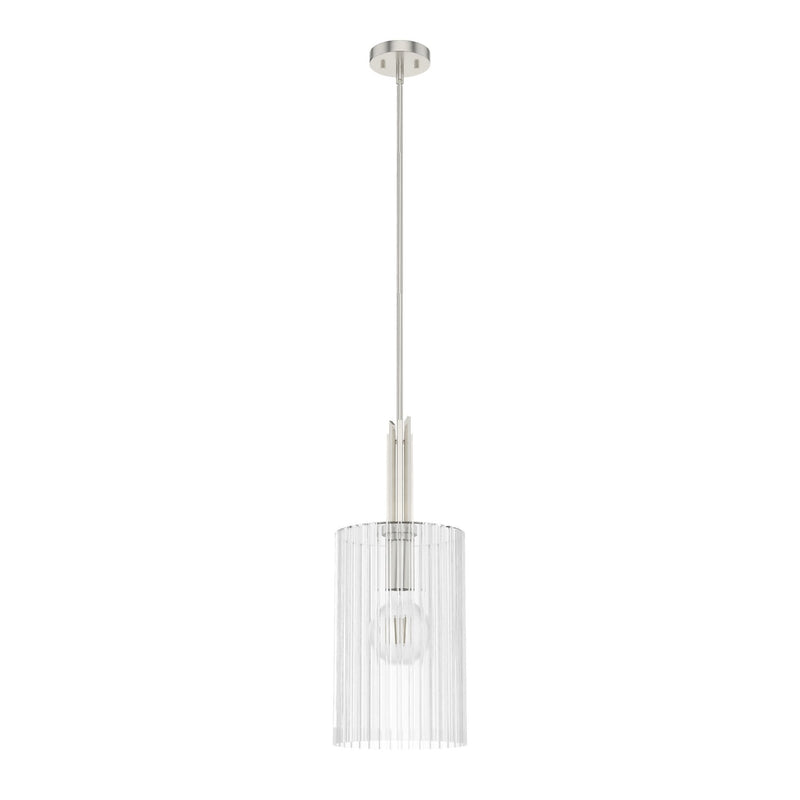 Hunter 19790 One Light Pendant, Brushed Nickel
