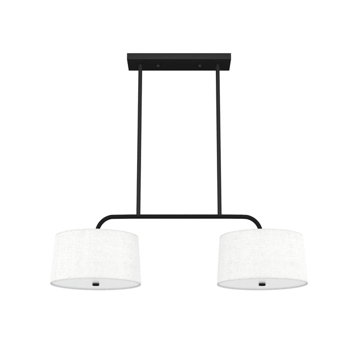 Hunter 19891 Four Light Linear Chandelier, Natural Black Iron