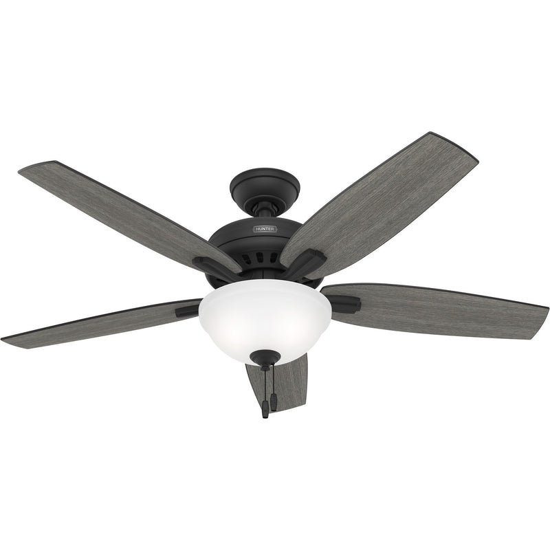 Hunter 52395 52" Ceiling Fan, Matte Black