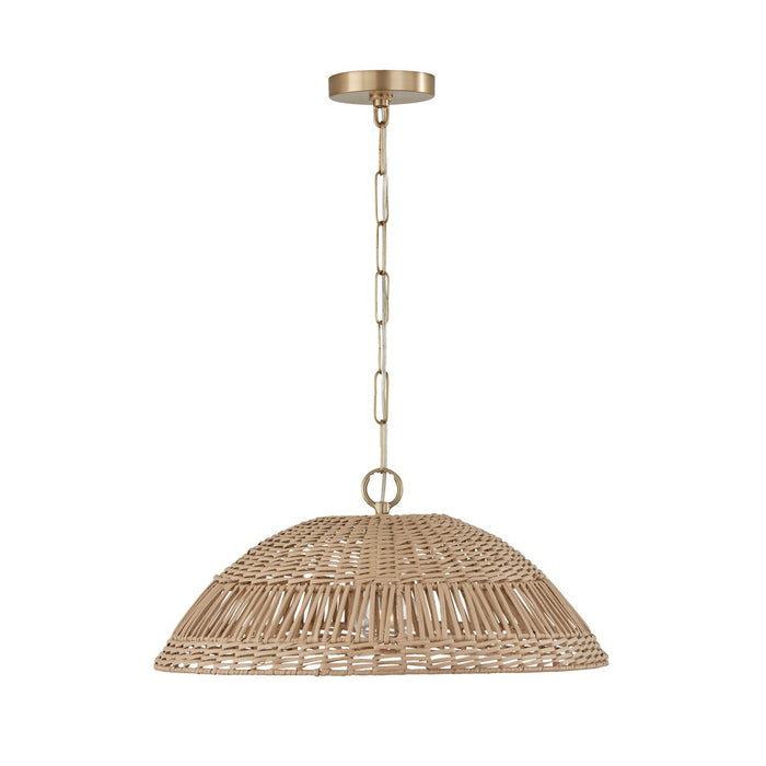 Capital Lighting 347511MA One Light Pendant, Matte Brass