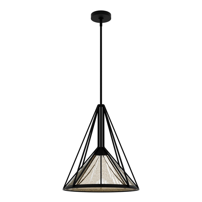 Hunter 19453 One Light Wall Sconce, Natural Black Iron