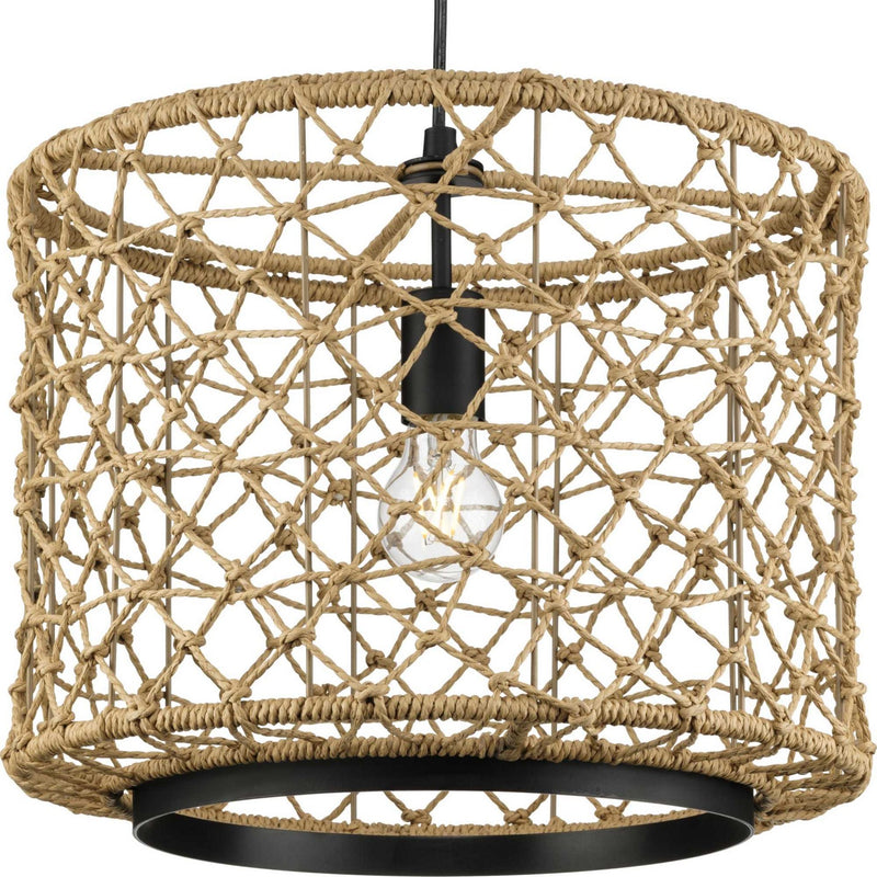 Progress Lighting P500420-31M One Light Pendant, Matte Black