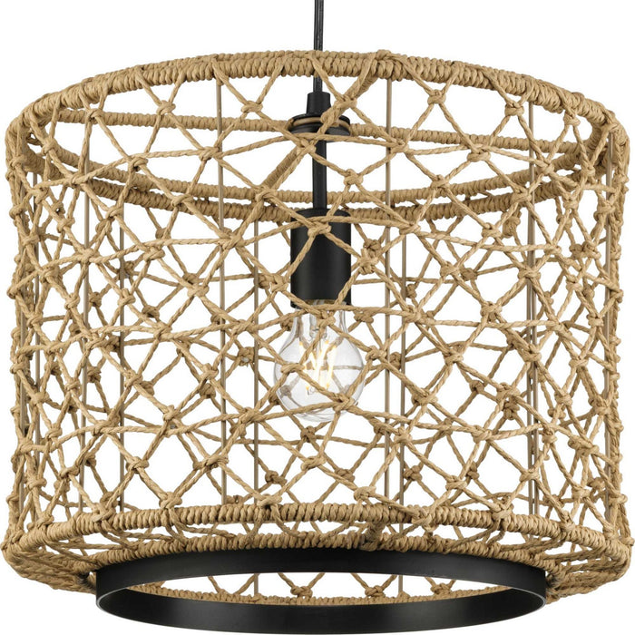Progress Lighting P500420-31M One Light Pendant, Matte Black