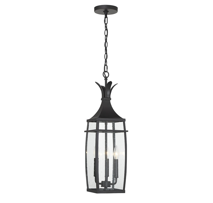 Savoy House 5-763-BK Three Light Outdoor Hanging Lantern, Matte Black