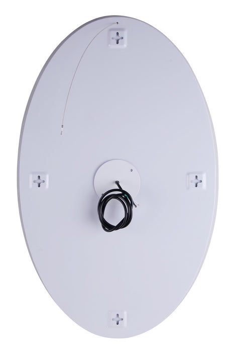 Canarm LR8116A1931 LED Mirror, Mirror