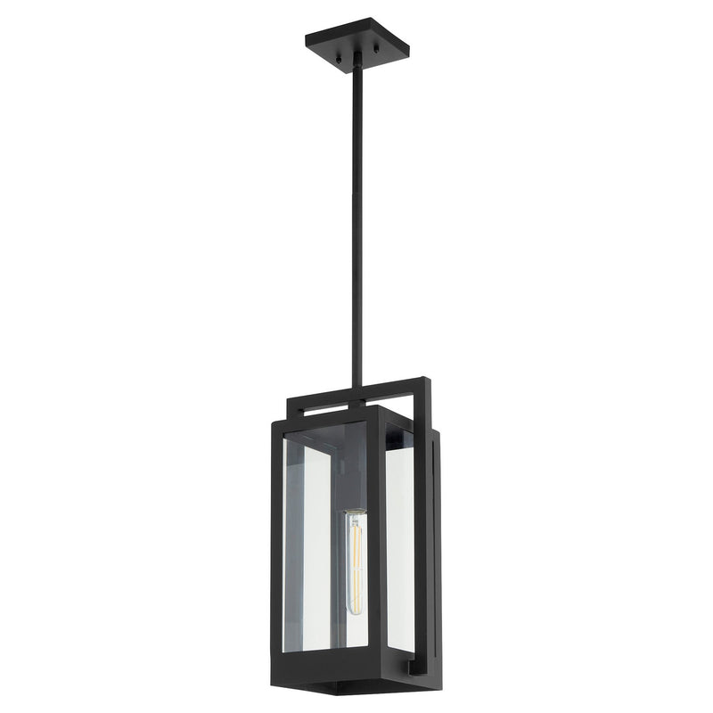 Quorum 737-18-69 One Light Pendant, Textured Black