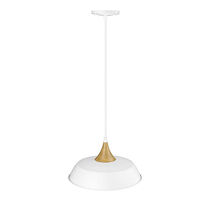Millennium 4511-MW One Light Pendant, Matte White