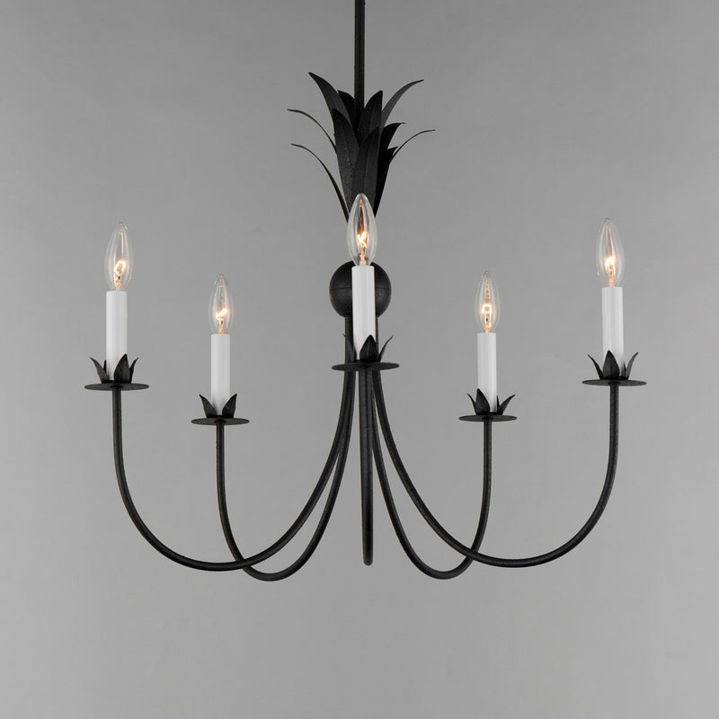 Maxim 2885AR Five Light Chandelier, Anthracite