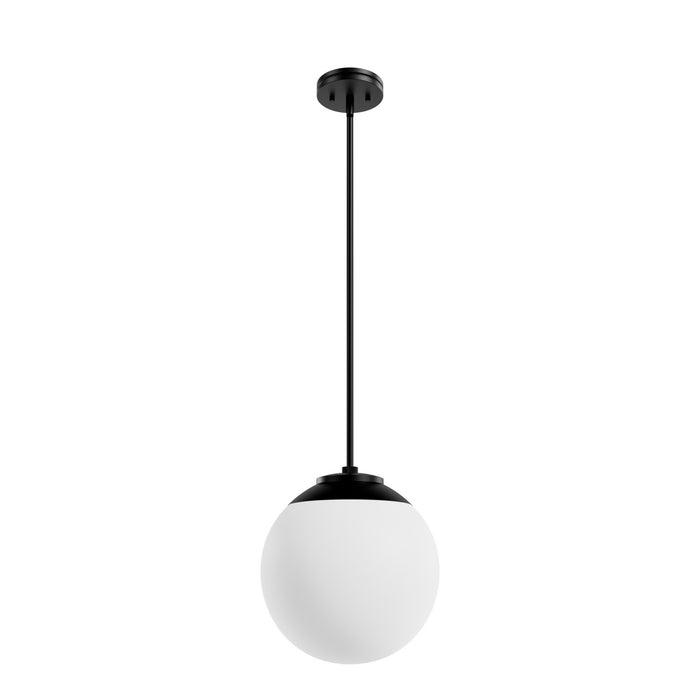 Hunter 19849 One Light Pendant, Matte Black