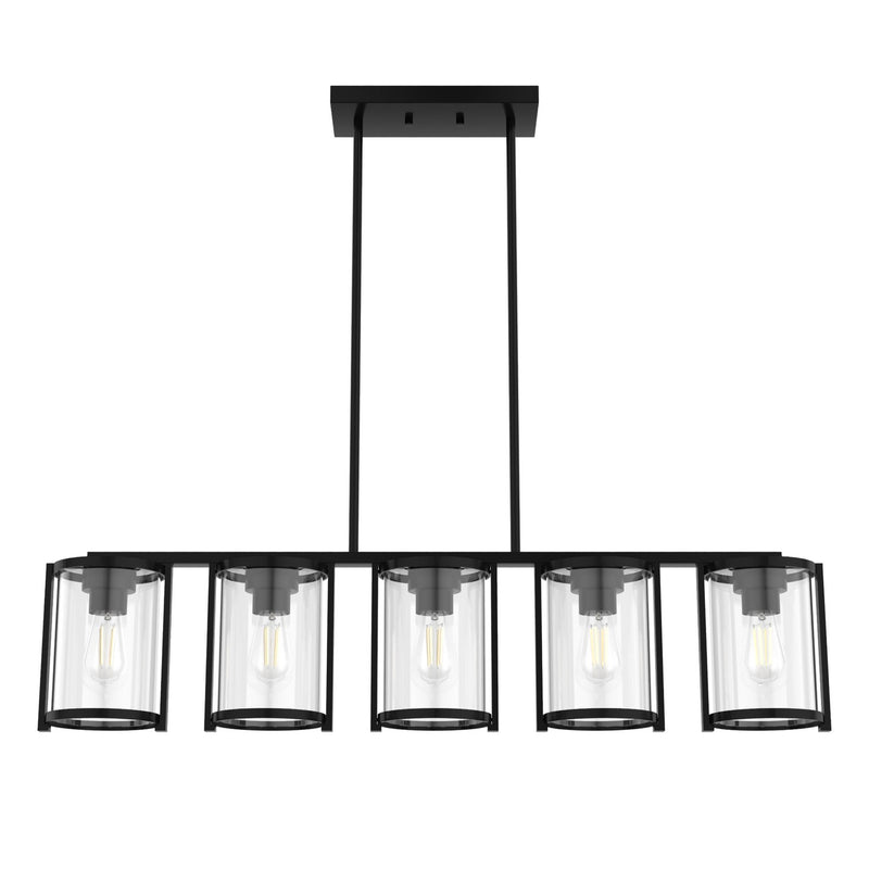 Hunter 48013 Five Light Chandelier, Matte Black