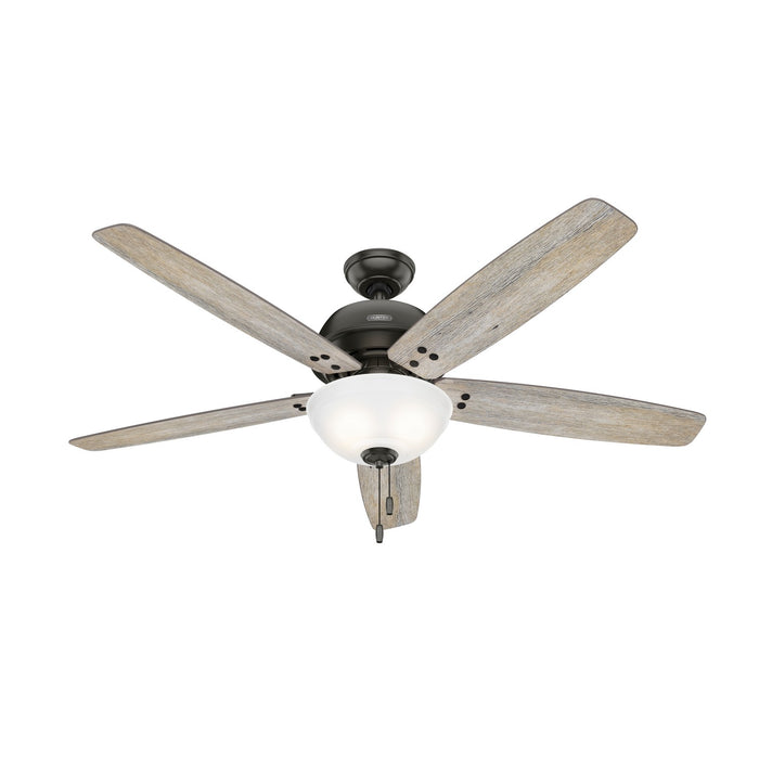 Hunter 52399 60" Ceiling Fan, Noble Bronze